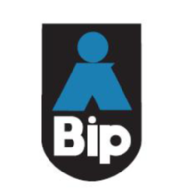 ビップシステムズ