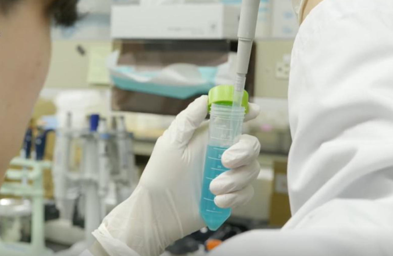 第一三共ヘルスケアの研究開発