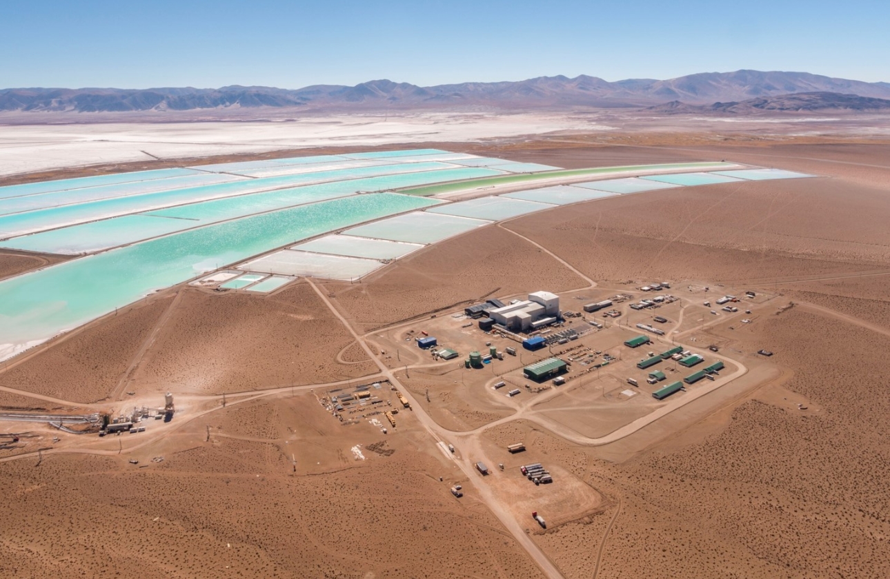 若手から裁量を持って働ける環境