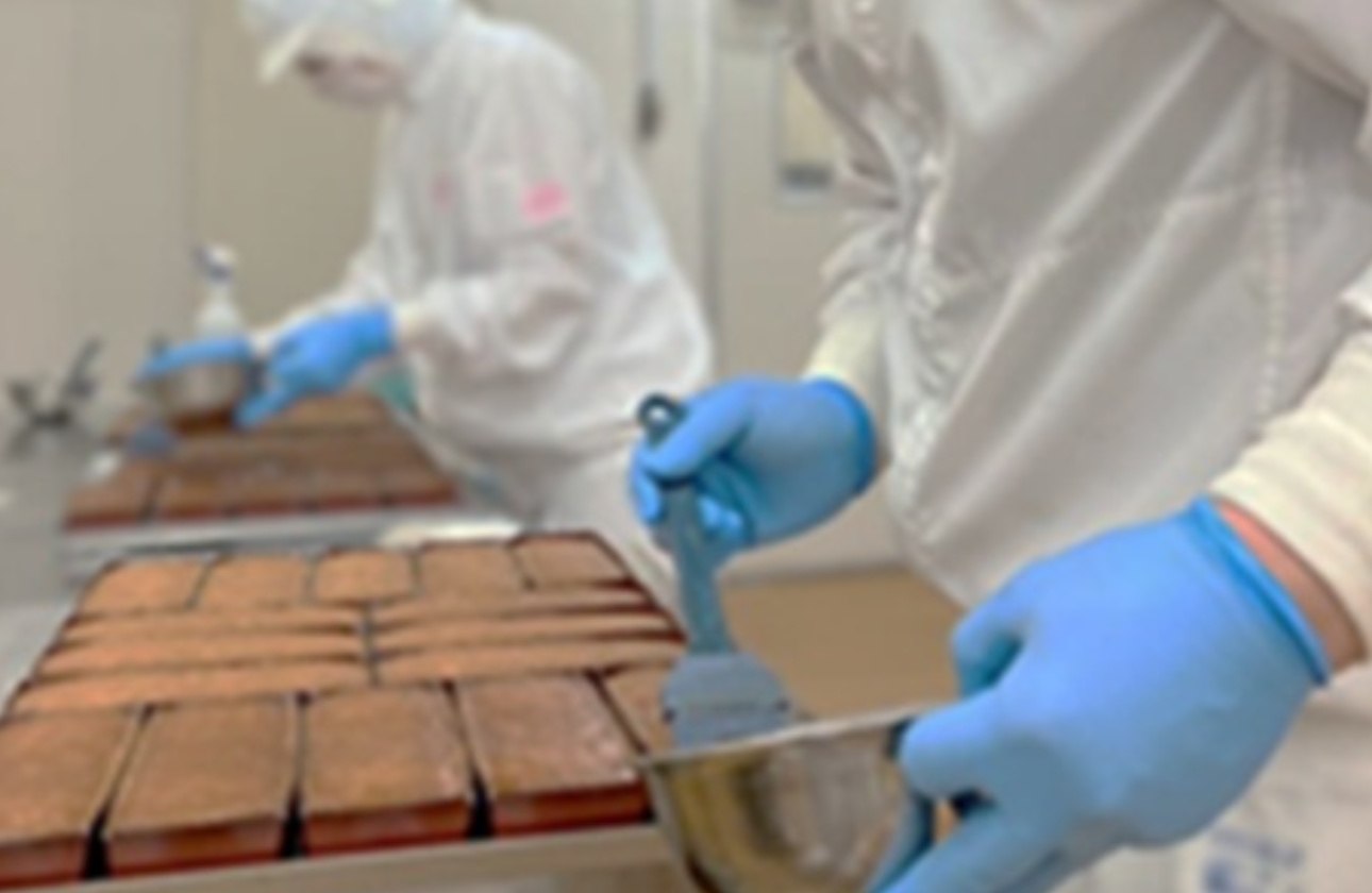 成長性・将来性