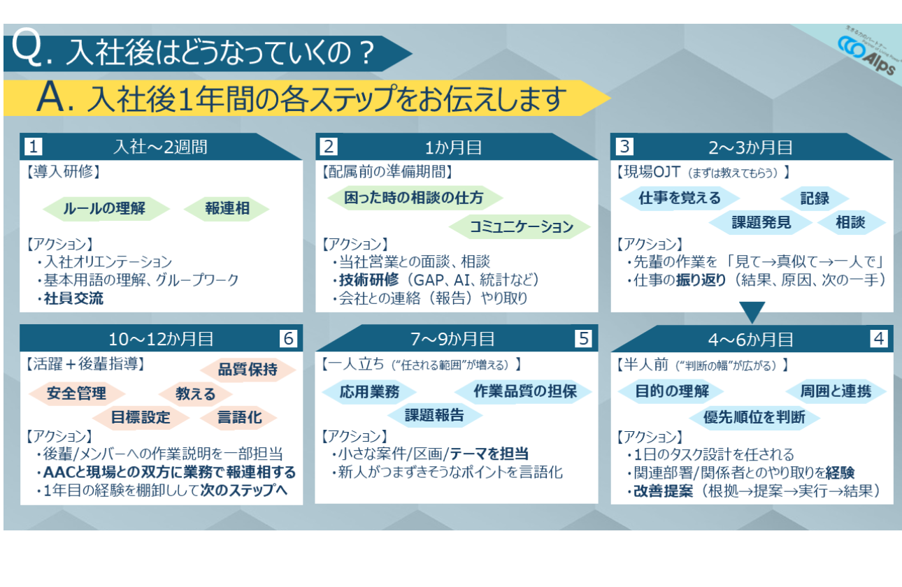 入社後の成長イメージ（1年の流れ例）