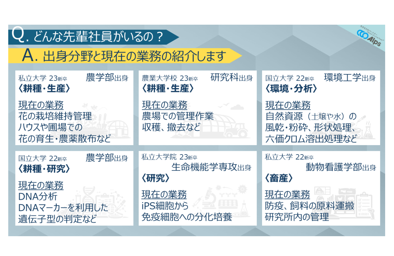 先輩社員情報の紹介