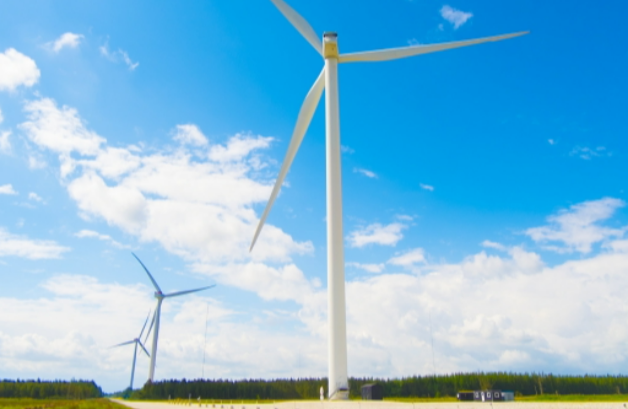 ▼事業ドメインの将来性、成長性