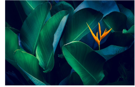 「人」こそがこの会社の価値そのもの