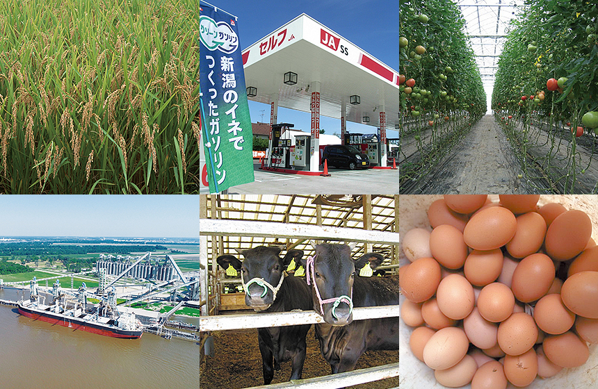 商社・流通・メーカーなど、さまざまな顔を持つ。