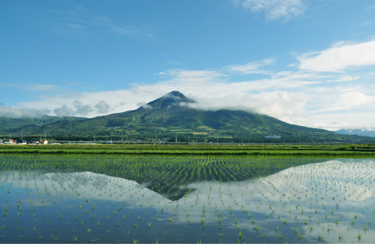 One for all, all for one.　一人は万人のために、万人は一人のために。