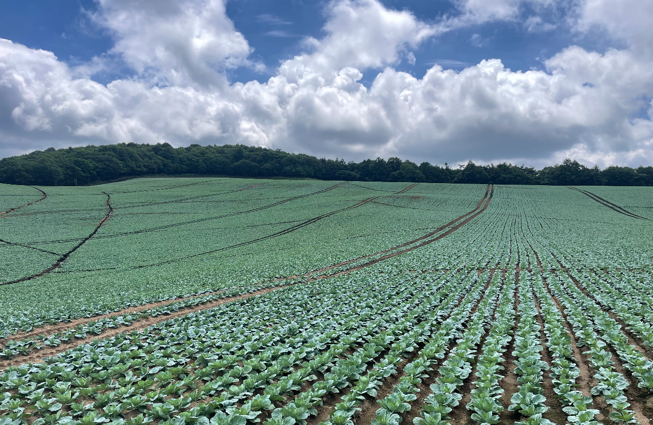 産地と食卓をつなぐ・産地開発