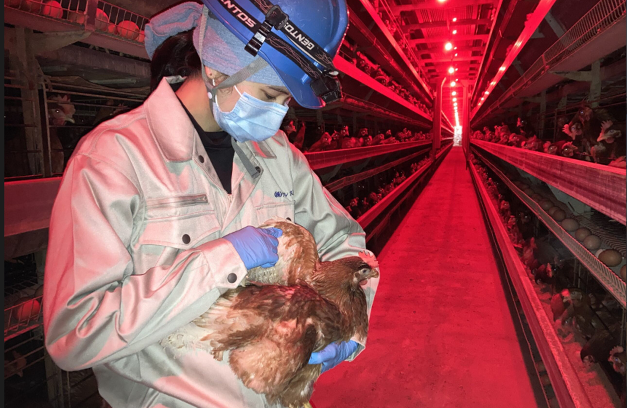 あなたの食卓を支え続けていく、食のインフラ企業