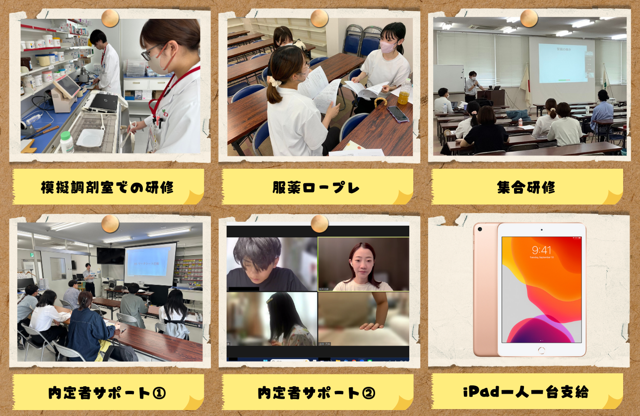 新人から成長を後押しする研修・サポート体制。