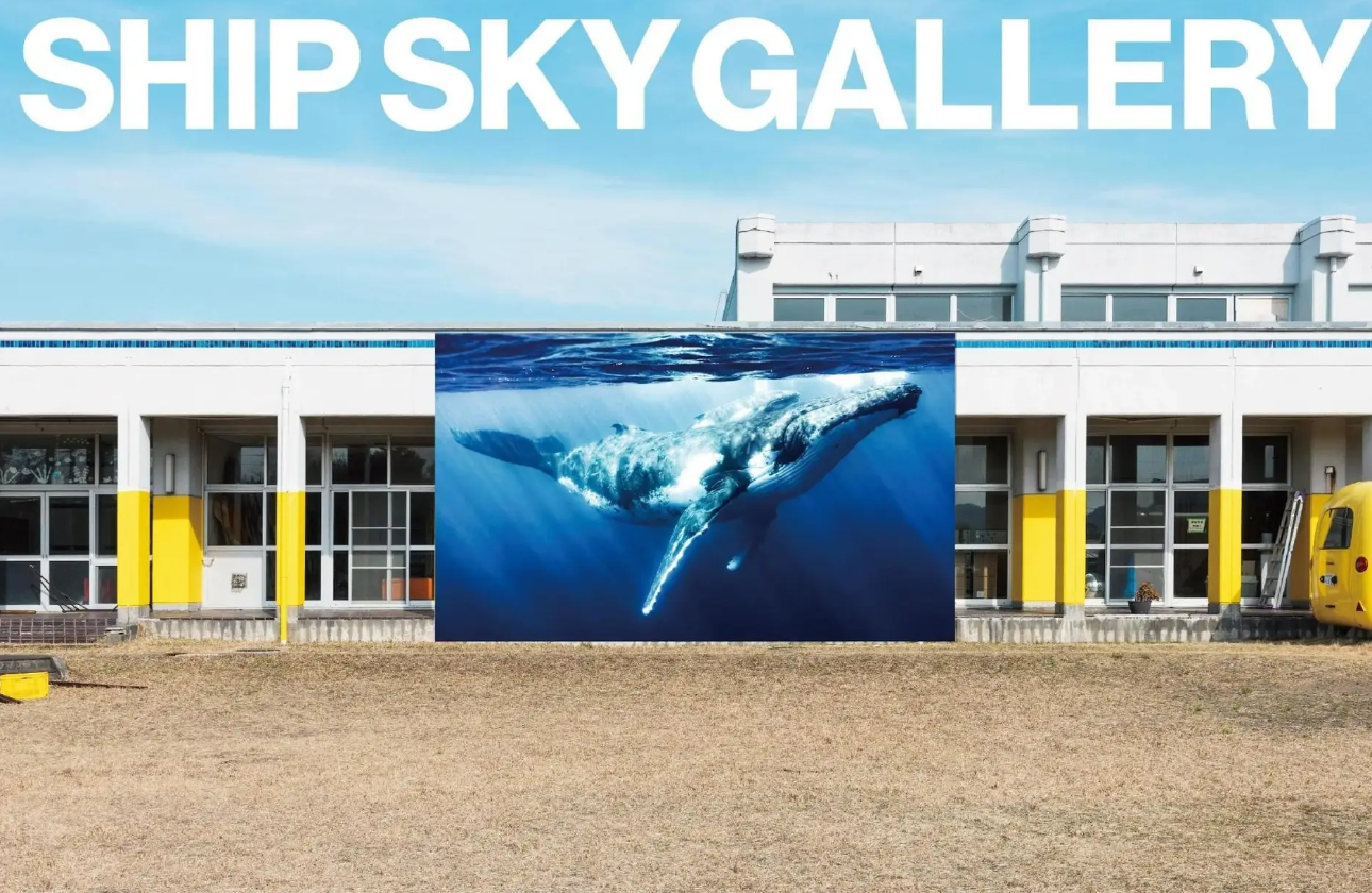SOTIAL ACTION / SHIP SKY GALLERY 青空動物写真展