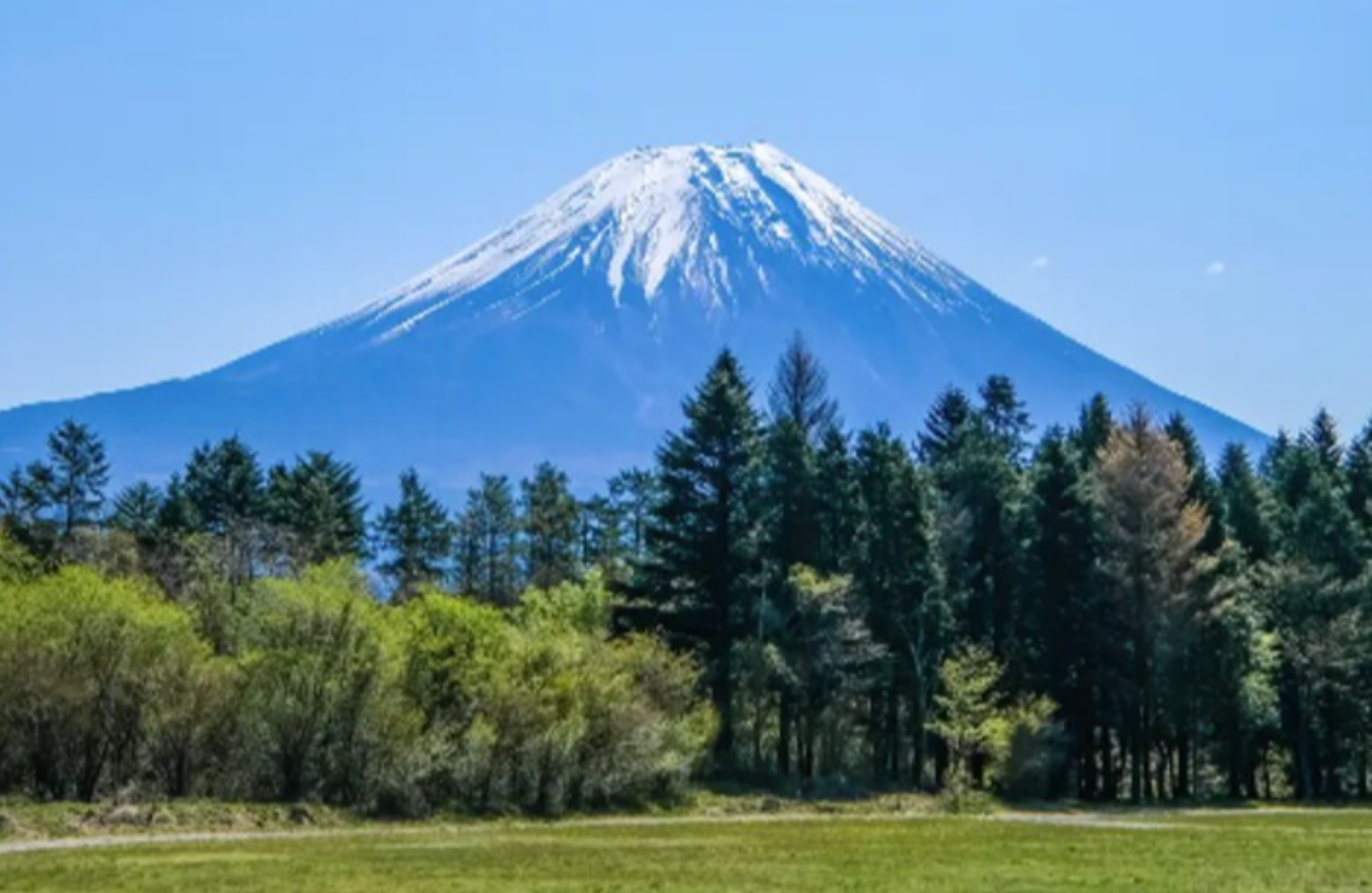 【全国規模の実績×データ活用】今と未来の課題に挑む