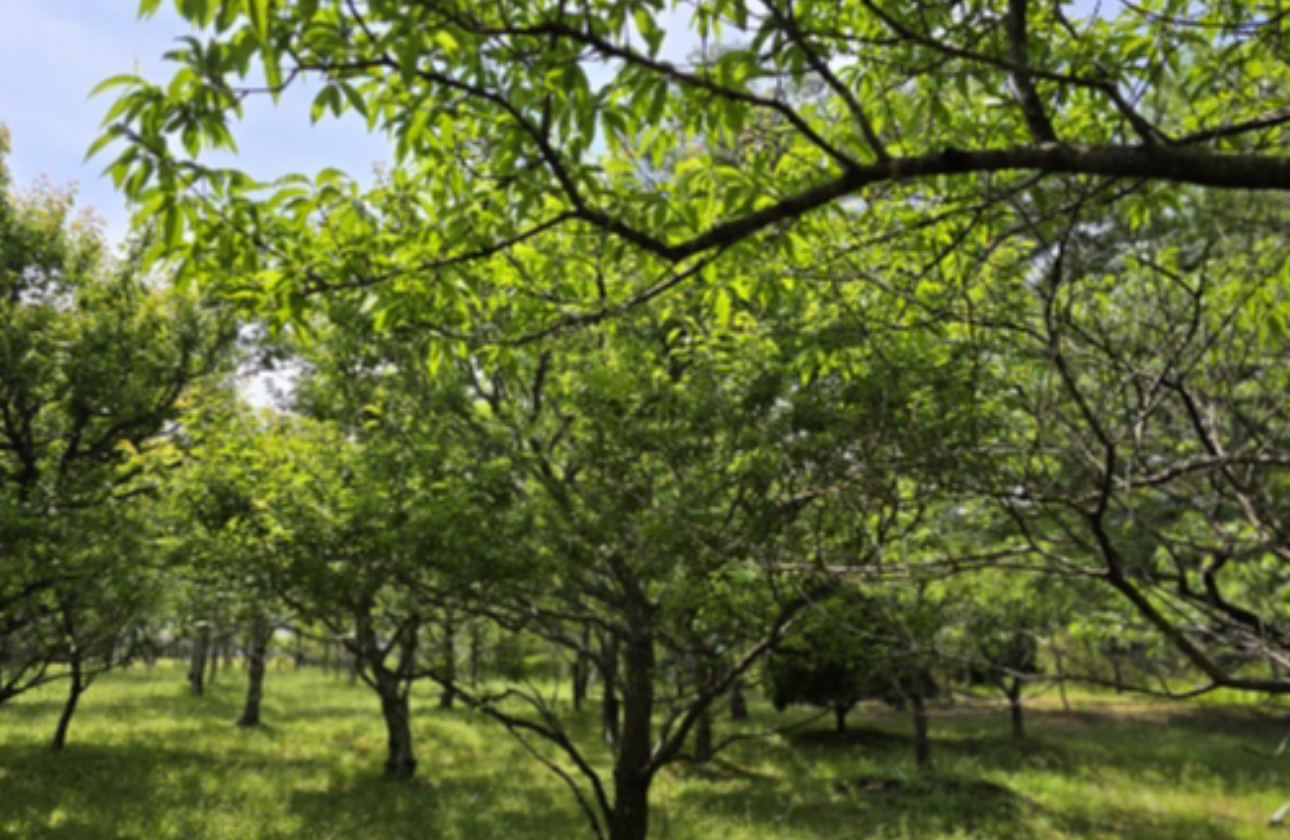 地球の「ミネラル」を使用しているからこそ、大切にしたい地球の美しさ