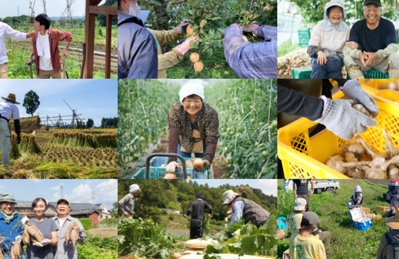 派遣以外の事業――シェアジョブ農業――