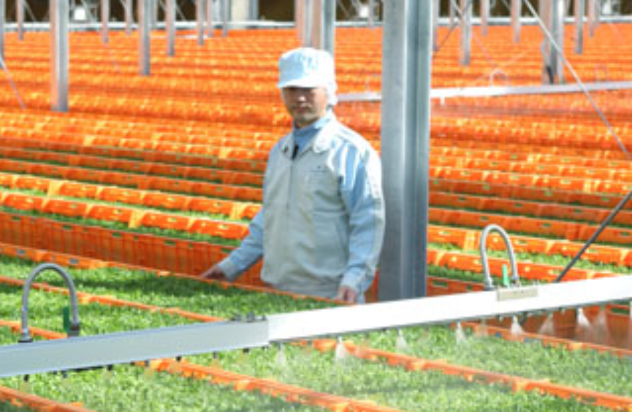 植物工場 × 発芽野菜だからこそ実現できる安定供給