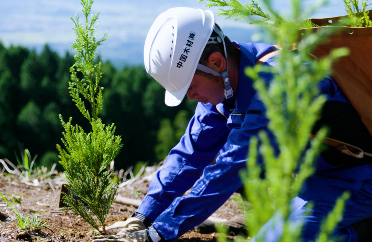 2.育苗 → 植林 → 保育 → 間伐 → 伐採 → 製材 → 利用（炭素固定） → バイオマス発電まで——循環型事業を自社で完結する“環境貢献企業”