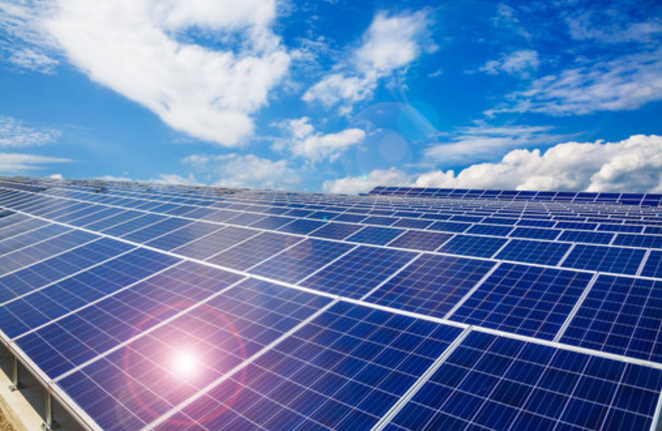 新規事業への挑戦