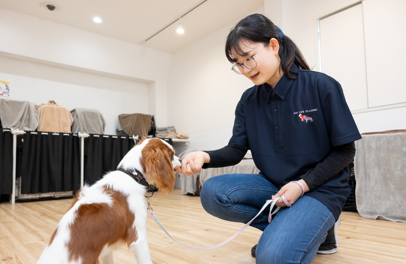 最初は誰でも未経験です。犬についての知識や技術は、研修とOJTでしっかりと身につきます！