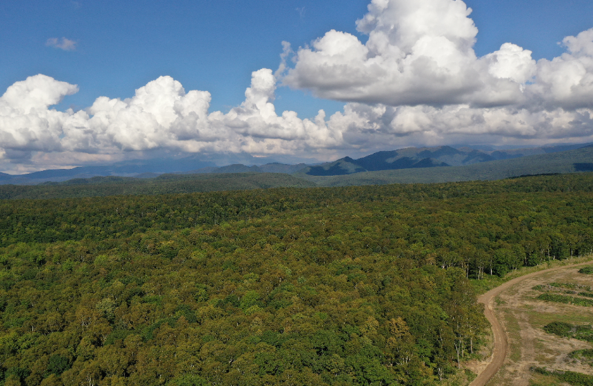 豊かな未来のため、新たな素材への挑戦