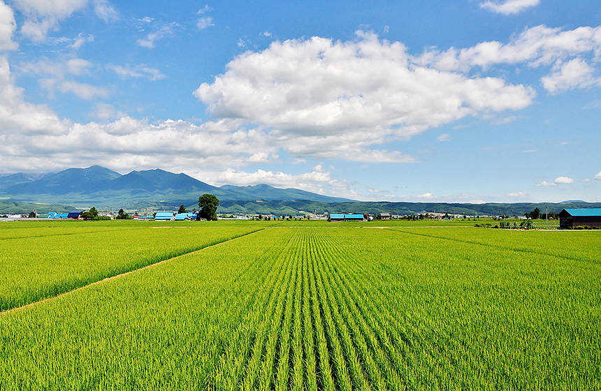「国民生活」、「日本の食」、「日本経済」を支える3つの事業