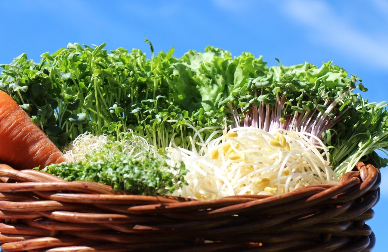 ーいいものを、お求めやすくー　値上げせずに10年で売上3倍