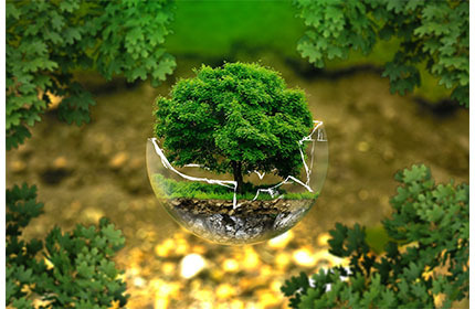 環境戦略 『THINK ECOⓇ』 を掲げ、環境配慮型のビジネスを展開。