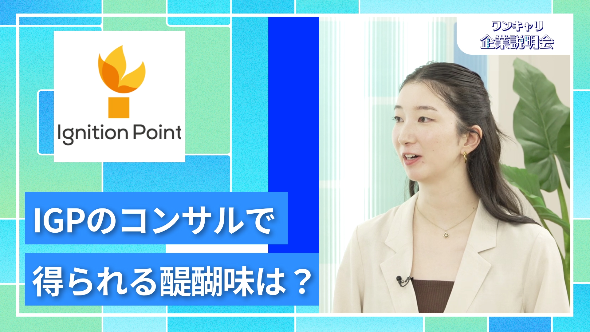 【イグニション・ポイント】27卒向けオンライン企業説明会『ワンキャリ企業説明会』